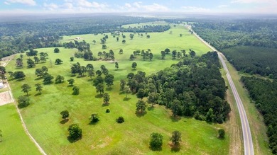 Positioned equidistant from Quitman, Winnsboro, and Gilmer, this - photo 7
