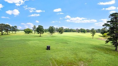 Positioned equidistant from Quitman, Winnsboro, and Gilmer, this - photo 10