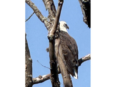 A Rare Legacy on White Lake in White Lake Michigan with direct - photo 21