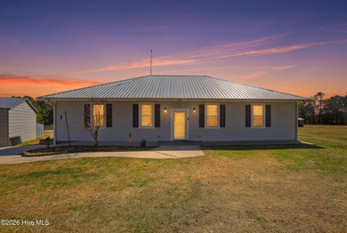 (private lake, pond, coastal) Home For Sale in Wallace North Carolina