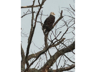 A Rare Legacy on White Lake in White Lake Michigan with direct - photo 23