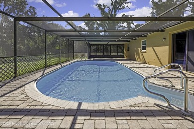 Pool Home! New March 2026 Roof Beautiful remodeled 3 Br 2 Bath - photo 3