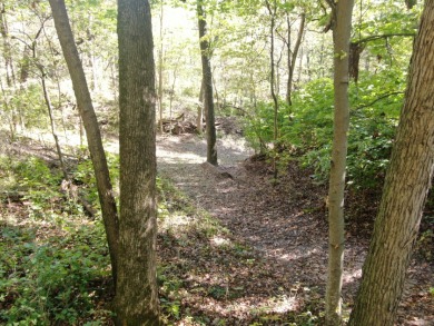 28± acre Sauk County Gem of a Property - photo 13