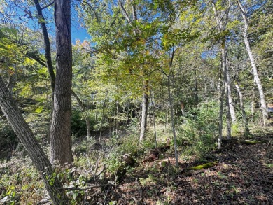 28± acre Sauk County Gem of a Property - photo 28
