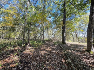 28± acre Sauk County Gem of a Property - photo 21