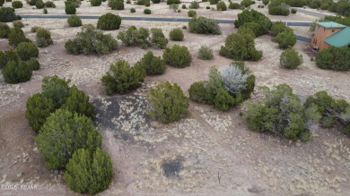 Lake Lot For Sale in Show Low, Arizona
