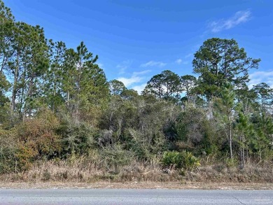 Almost half an acre in the heart of Navarre! Build your dream - photo 3