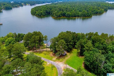 Best view on LAKE WEDOWEE! Super charming lake cottage with - photo 9