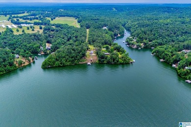 Best view on LAKE WEDOWEE! Super charming lake cottage with - photo 10