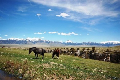 Lake Acreage For Sale in Ennis, Montana