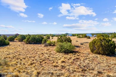 Lake Lot For Sale in Show Low, Arizona