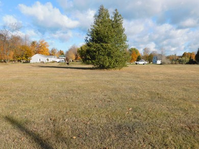Arcadia Lake Lot For Sale in Arcadia Michigan
