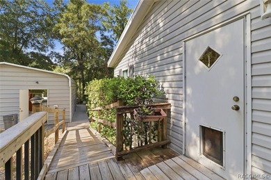 Framed by a canopy of mature trees and lush landscaping, this - photo 26