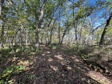 28± acre Sauk County Gem of a Property - photo 23