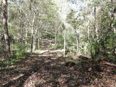 28± acre Sauk County Gem of a Property - photo 15