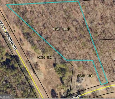 Lake Acreage For Sale in Toccoa, Georgia