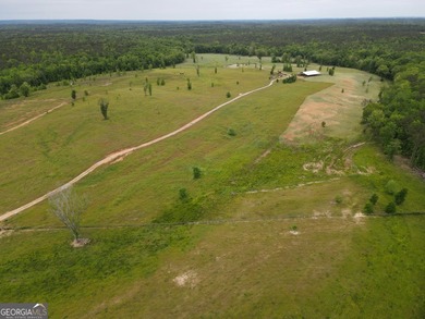 Lake Acreage For Sale in Roberta, Georgia