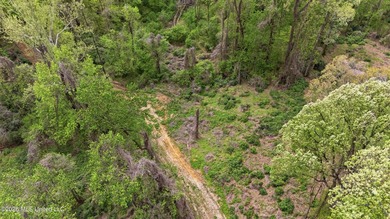 Looking for land to build your dream home- This 39-acre property - photo 11