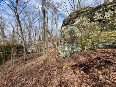Escape to 5.66 private acres in Sparta, TN! Includes a level pad - photo 11