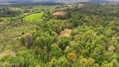 Looking for land to build your dream home- This 39-acre property - photo 12