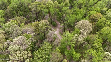 Looking for land to build your dream home- This 39-acre property - photo 13