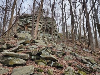 Escape to 5.66 private acres in Sparta, TN! Includes a level pad - photo 13
