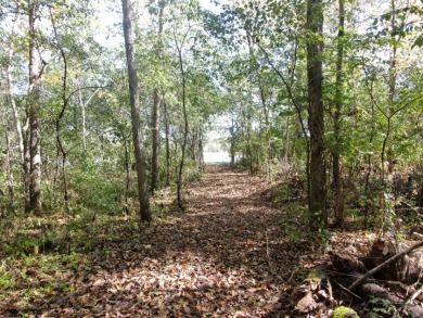 28± acre Sauk County Gem of a Property - photo 16