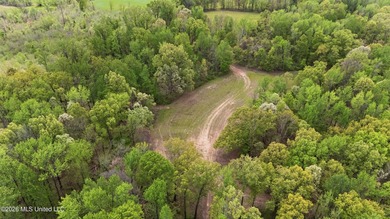 Looking for land to build your dream home- This 39-acre property - photo 14