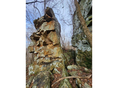 Escape to 5.66 private acres in Sparta, TN! Includes a level pad - photo 14