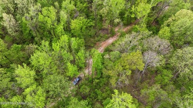 Looking for land to build your dream home- This 39-acre property - photo 15