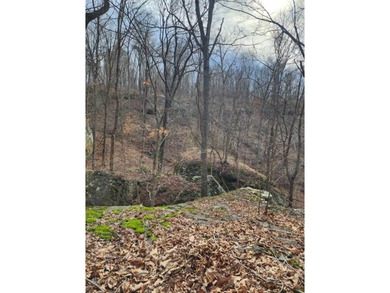 Escape to 5.66 private acres in Sparta, TN! Includes a level pad - photo 15
