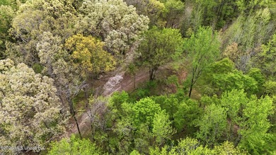 Looking for land to build your dream home- This 39-acre property - photo 16