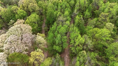 Looking for land to build your dream home- This 39-acre property - photo 17