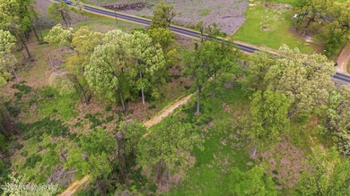 Looking for land to build your dream home- This 39-acre property - photo 18