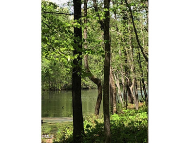 (private lake, pond, coastal) Lot For Sale in Pittsboro North Carolina