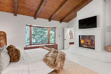 A pristine 7.42-acre alpine haven with Castle Creek flowing - photo 22