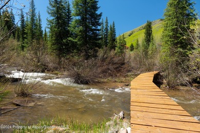 A pristine 7.42-acre alpine haven with Castle Creek flowing - photo 42