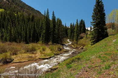 A pristine 7.42-acre alpine haven with Castle Creek flowing - photo 43