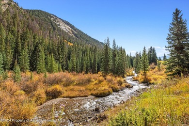 A pristine 7.42-acre alpine haven with Castle Creek flowing - photo 44