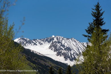 A pristine 7.42-acre alpine haven with Castle Creek flowing - photo 50