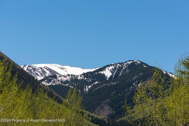 A pristine 7.42-acre alpine haven with Castle Creek flowing - photo 51