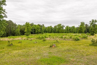 11.56 Acres | Fully Fenced | Gated | Utilities Available - photo 3