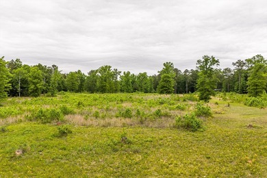 11.56 Acres | Fully Fenced | Gated | Utilities Available - photo 4