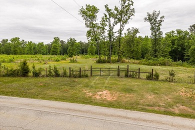 11.56 Acres | Fully Fenced | Gated | Utilities Available - photo 7
