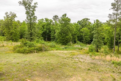 11.56 Acres | Fully Fenced | Gated | Utilities Available - photo 8