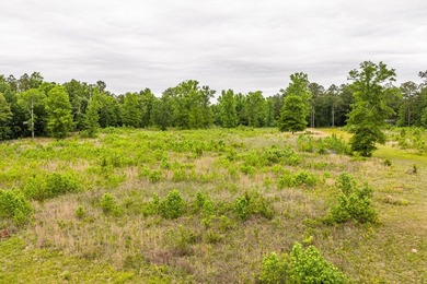 11.56 Acres | Fully Fenced | Gated | Utilities Available - photo 9