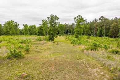 11.56 Acres | Fully Fenced | Gated | Utilities Available - photo 10