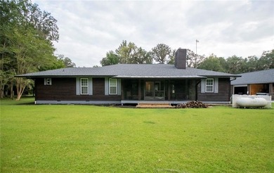 (private lake, pond, coastal) Home For Sale in Woodbine Georgia