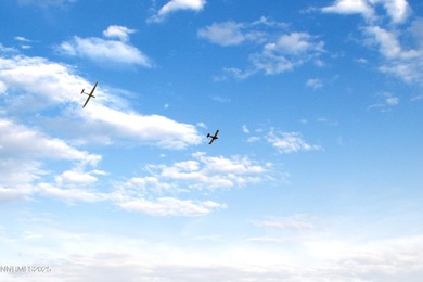 Rare Aviation Lifestyle Opportunity - Flying Eagle Airpark - photo 23