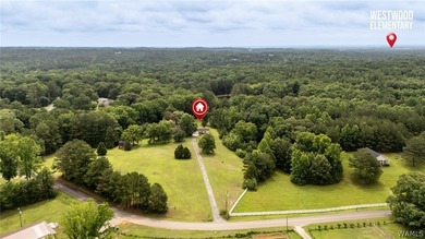 Welcome to 14774 Bel Aire Estate in Coker, Alabama, where you'll - photo 43